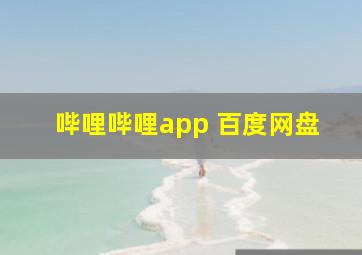 哔哩哔哩app 百度网盘